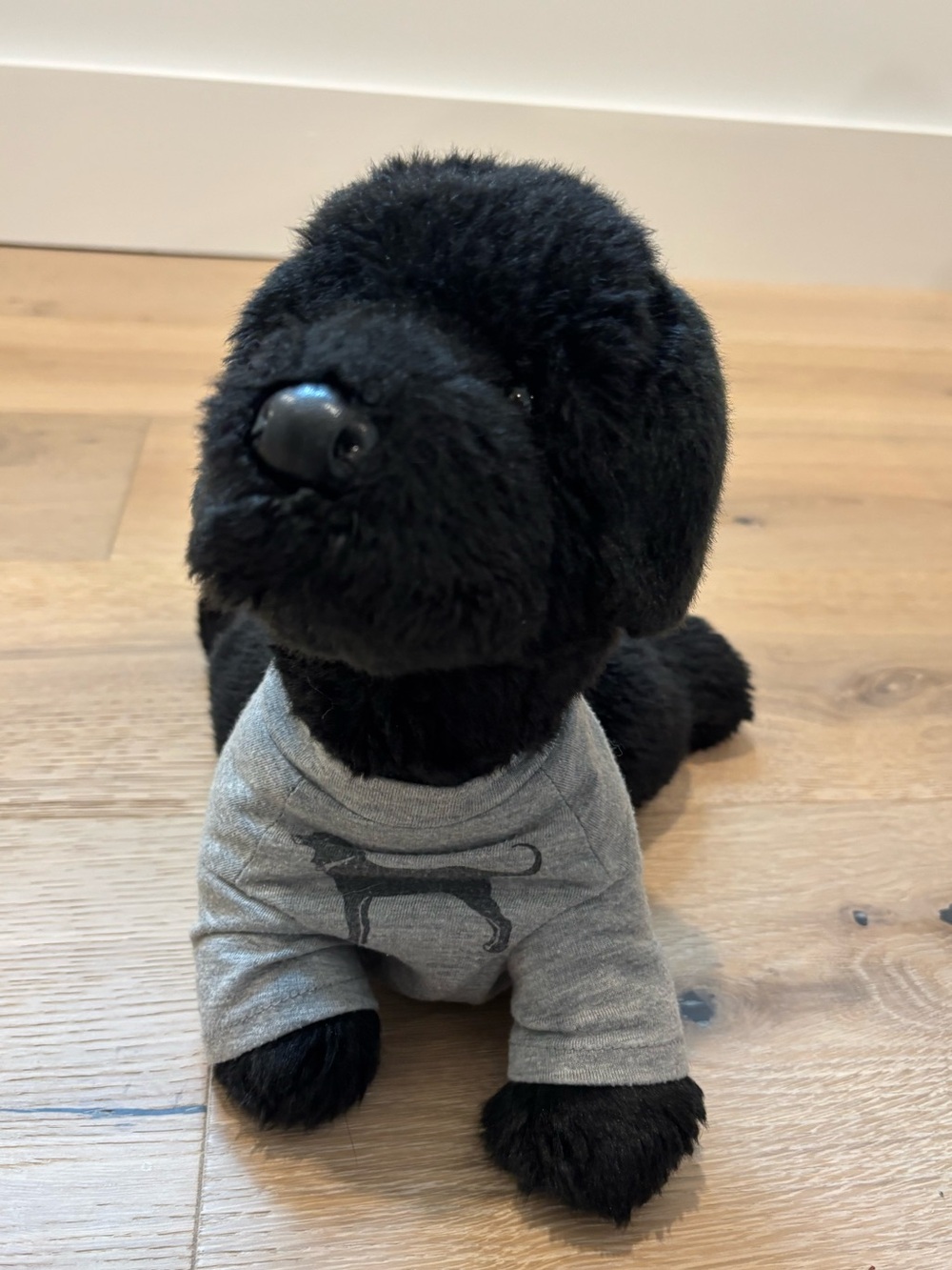 The Black Dog Black Lab